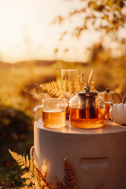 istock Autumn tea time outdoors in sunrise beautiful nature sunlight 1178278149