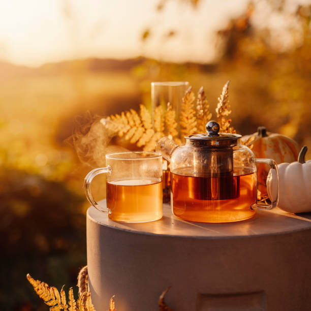 Autumn tea time outdoors in sunrise beautiful nature sunlight