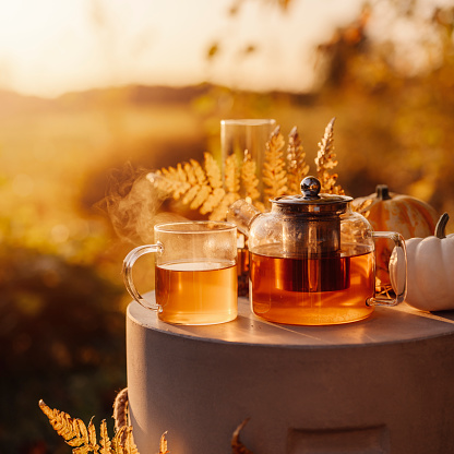 Autumn tea time outdoors in sunrise beautiful nature sunlight\nSTill life in natural life with tea cup teapot and pumpkins and some candle lights