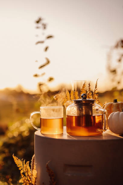 istock Autumn tea time outdoors in sunrise beautiful nature sunlight 1178279758