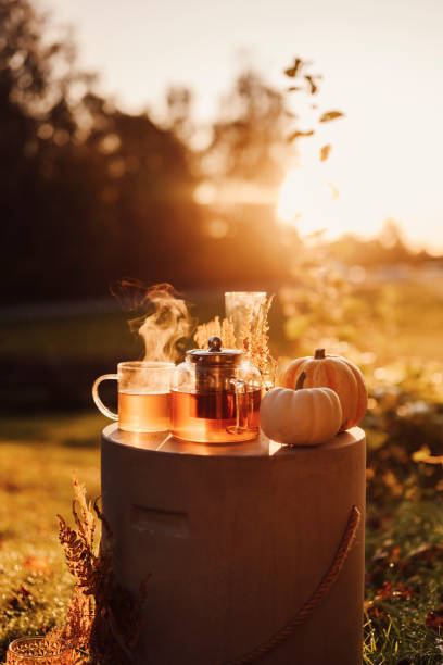 istock Autumn tea time outdoors in sunrise beautiful nature sunlight 1178284029