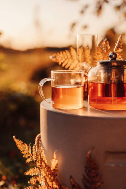 istock Autumn tea time outdoors in sunrise beautiful nature sunlight 1178284031