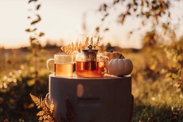 istock Autumn tea time outdoors in sunrise beautiful nature sunlight 1178284033