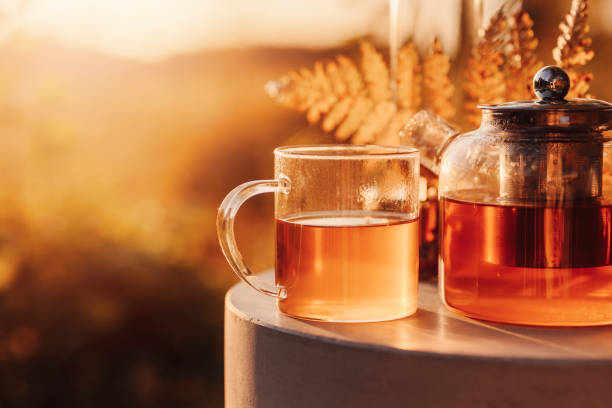 istock Autumn tea time outdoors in sunrise beautiful nature sunlight 1178284057