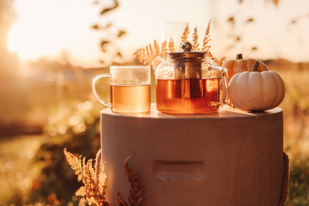 istock Autumn tea time outdoors in sunrise beautiful nature sunlight 1178284175