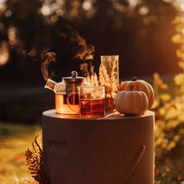 istock Autumn tea time outdoors in sunrise beautiful nature sunlight 1178284217