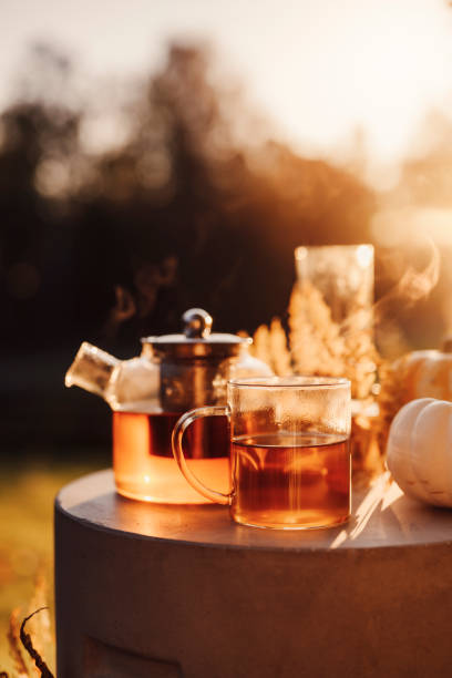 istock Autumn tea time outdoors in sunrise beautiful nature sunlight 1178284313