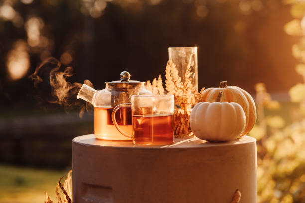 istock Autumn tea time outdoors in sunrise beautiful nature sunlight 1178284323