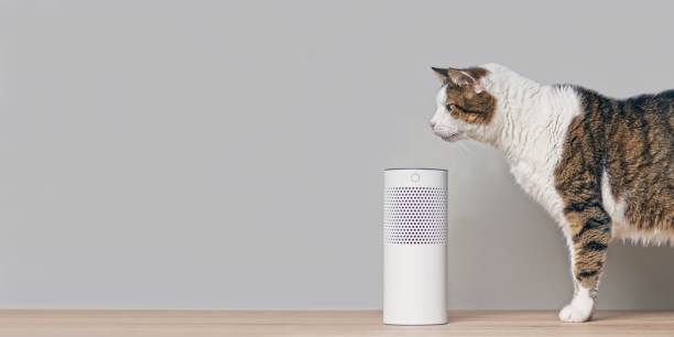 lindo gato tabby mirando curioso a un altavoz inteligente controlado por voz. imagen panorámica con espacio de copia. - wood texture audio fotografías e imágenes de stock