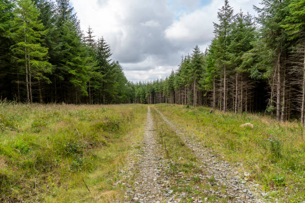 istock Landscape on the wicklow way. 1178285495