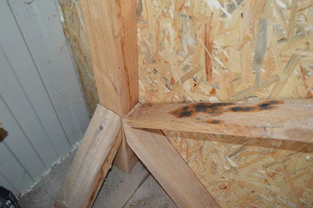 istock Installation of a suspended structure for drywall 1178285589