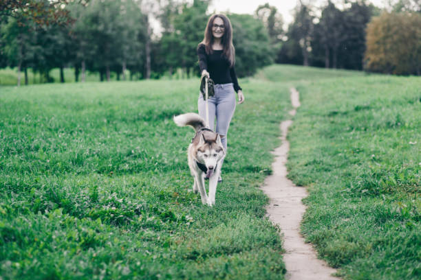 istock woman walking with husky dog 1178285620