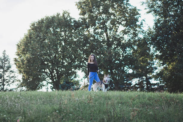 istock girl walks with a dog at sunset 1178285635