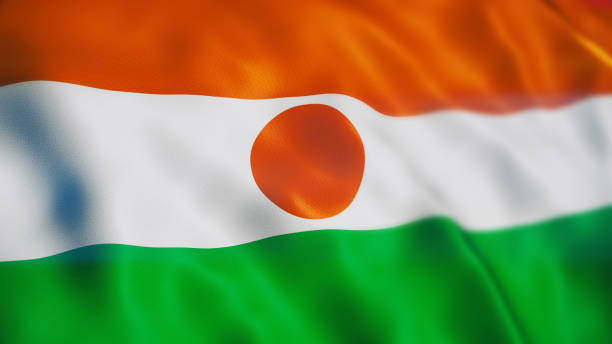 3D Render Niger Flag Close-up (Depth Of Field)