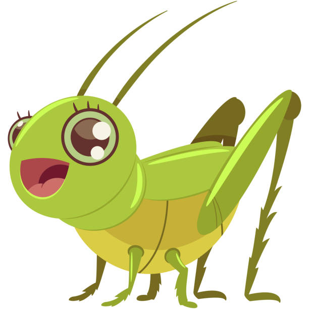 흰색 배경에 고립 된 귀여운 메뚜기 벡터 만화 캐릭터. - locust stock illustrations