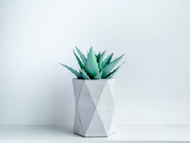 istock Concrete pot. Modern geometric concrete planter. 1178290336