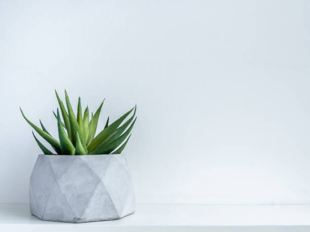 istock Concrete pot. Modern geometric concrete planter. 1178290338