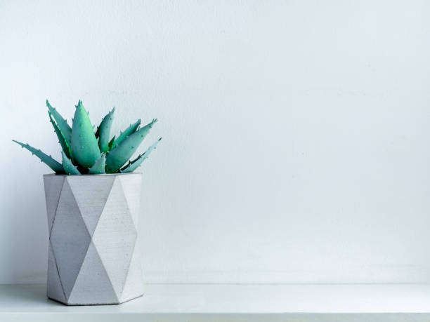 istock Concrete pot. Modern geometric concrete planter. 1178290388