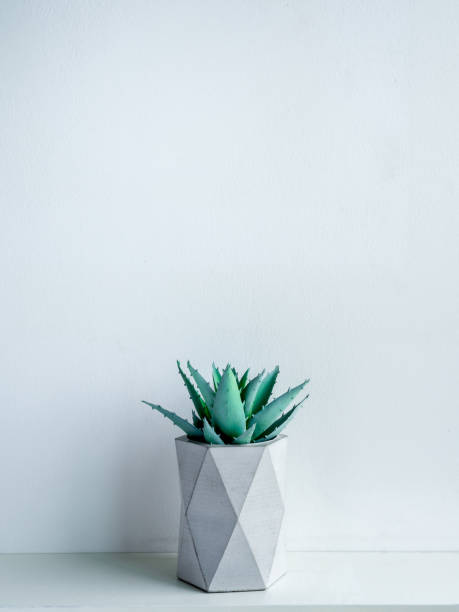 istock Concrete pot. Modern geometric concrete planter. 1178290433