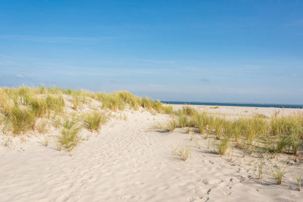 istock dune landscape and long beach at North Sea 1178291840
