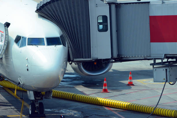 Nose view of an unmarked airliner at a jet bridge