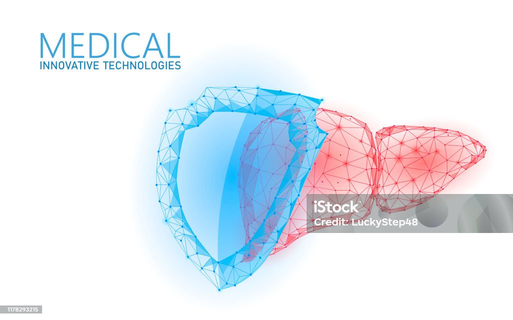 skole Arbejdskraft mikro Human Liver 3d Protection Shield Medicine Low Poly Concept Triangle Red  Pharmacy Drugstore Background Supplement Recovery Reconstruction Vector  Illustration Stock Illustration - Download Image Now - iStock