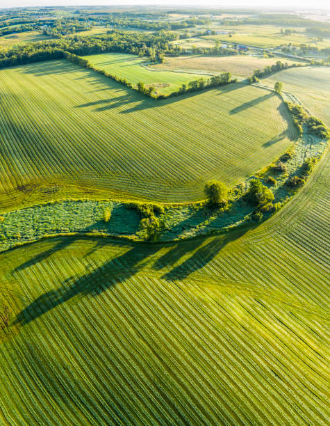 Stunning surface textures of velvet green farm field stock photo