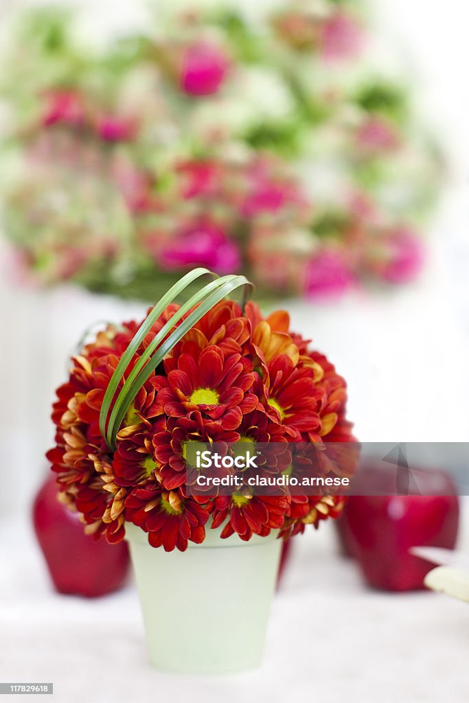 Vaso di rosso Argyranthemum frutescens. Immagine a colori - Foto stock royalty-free di Amore