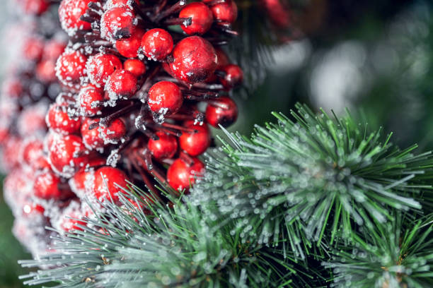 istock Red Berry Wreath on the Christmas Tree Branches Macro 1178296612