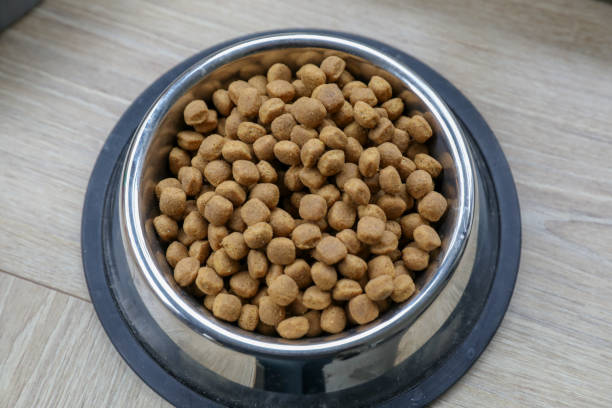 istock Accessories and food for a dog 1178297327