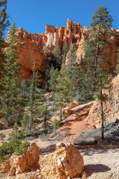 istock The National Park Bryce Canyon in Utah 1178298134