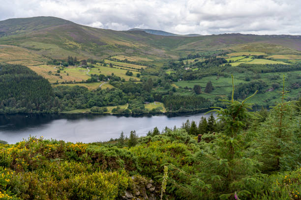 istock Wicklow way landscape Lough Dan Lake in a cloudy day. 1178298150