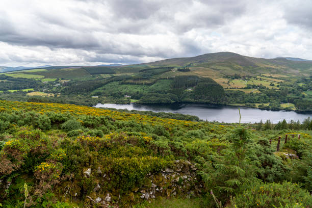 istock Wicklow way landscape Lough Dan Lake in a cloudy day. 1178299021