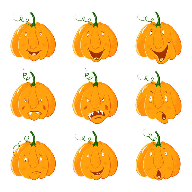 sufiakun様 高品質 オレンジカルサイト ミニかぼちゃ ハロウィン