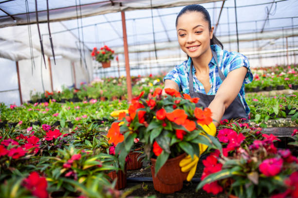 istock Woman in greenhouse 1178300304