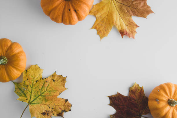 istock Fall background maple leaves with orange pumpkins white background with copy space, autumn 1178300469