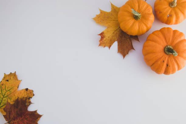 istock Fall background maple leaves with orange pumpkins white background with copy space, autumn flat lay. 1178300498