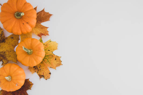 istock Fall background maple leaves with orange pumpkins white background with copy space, autumn flat lay. 1178300533