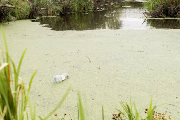 istock Garbage on the river of a big city. 1178301418