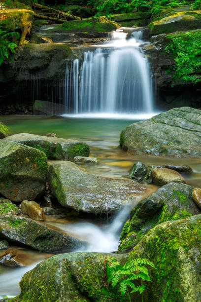 istock Waterfalls in green forest during a summer. 1178304665