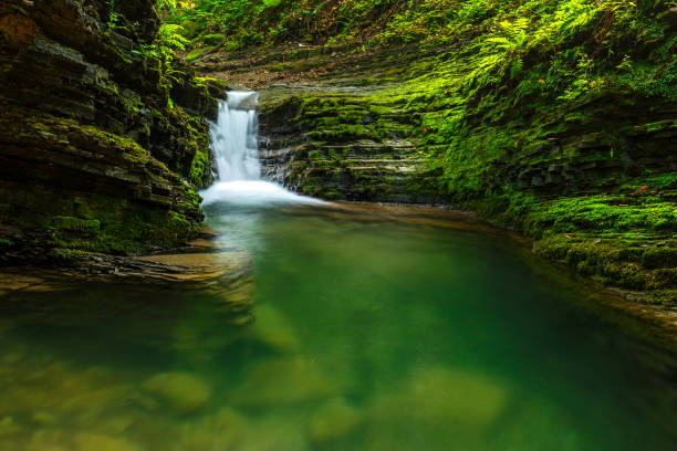 istock Waterfalls in green forest during a summer. 1178304688