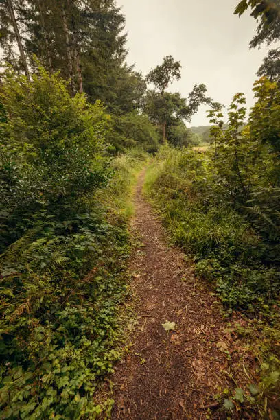 Pathway in Blarney Gardens leading to horses graveyard - County Cork, Ireland