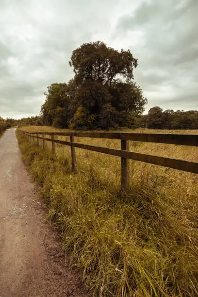 Wooden fence and countryside landscape in Blarney, County Cork, Ireland