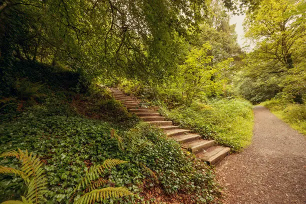 Pathway and stone steps in Blarney Gardens, County Cork, Ireland