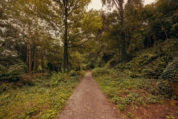 Pathway in rainy day - Blarney Gardens, County Cork, Ireland