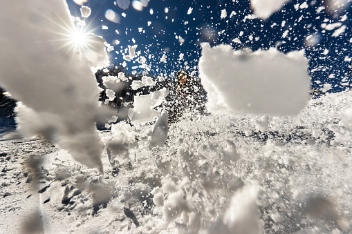 Close up of a skier spraying powder snow in winter day.
