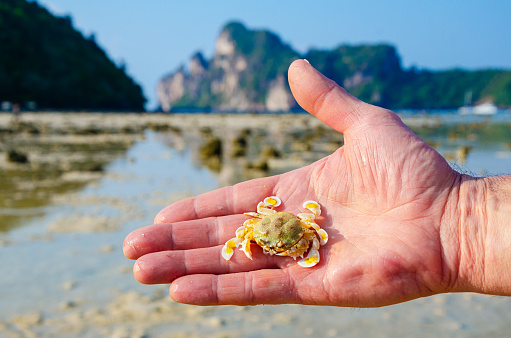 Close up of a woman's hand holding seashell.