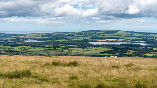 istock Vartry reservoir in a clody day. 1178314602