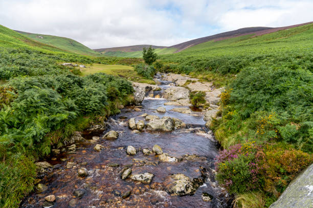 istock River Dargle, Glensoulan Valley. 1178316288