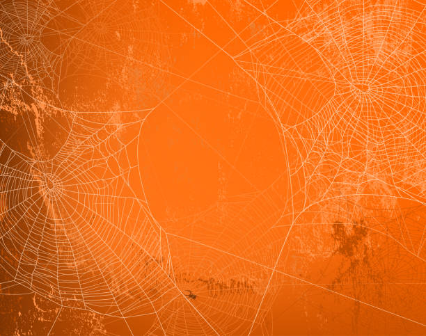 halloween orange wall vector background with spider web shabby orange wall covered with spooky spider web - halloween theme bright copy space background spooky illustrations stock illustrations